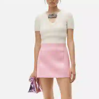 alexander wang FW21 T