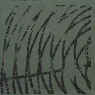 Cav Empt Overdye Stamp CE T-Shirt