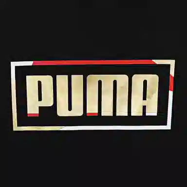 PUMA T