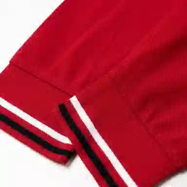 Polo Ralph Lauren Logo Embroidered Polo Red