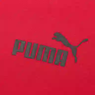 Puma ACT