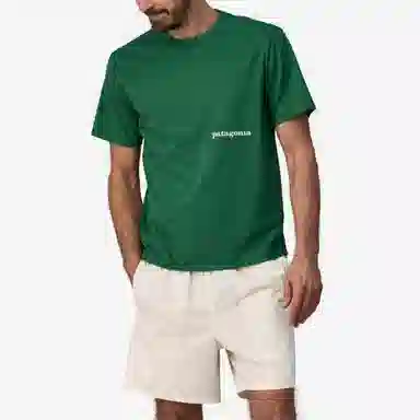 patagonia T