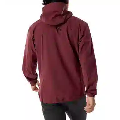 Arcteryx GAMMA FW25 Hoody Logo