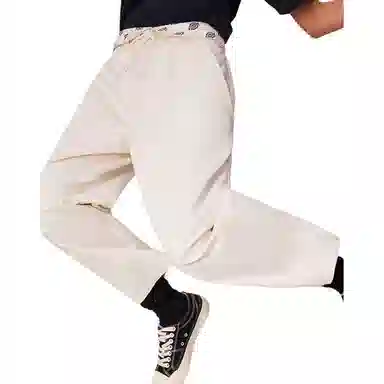 Dickies 874