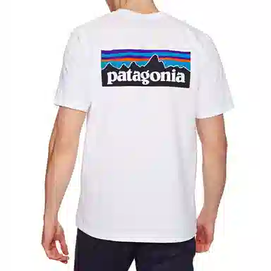 patagonia T