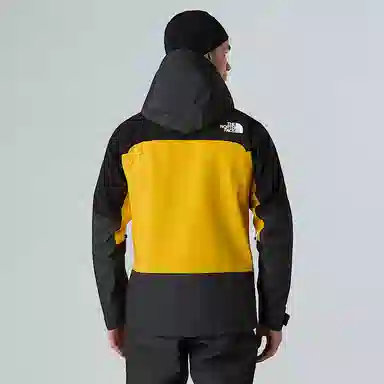 THE NORTH FACE SUMMIT Mountain GORE-TEX Logo