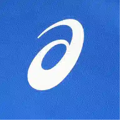 Asics SS25 logo