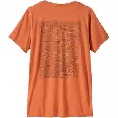 patagonia T