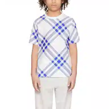 Burberry T