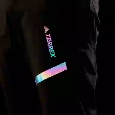 adidas Terrex Insp Ms Pants Logo