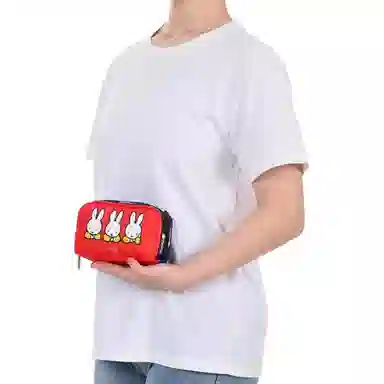 LeSportsac DICKBRUNA