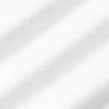 LOUIS VUITTON SS25 T