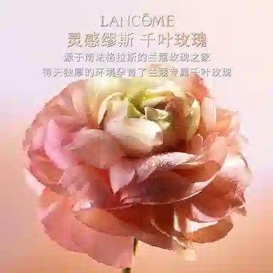 Absolue 1001 Roses EDP 100ml