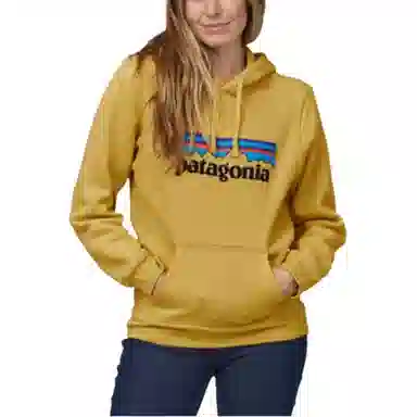 Patagonia Logo Hoodie