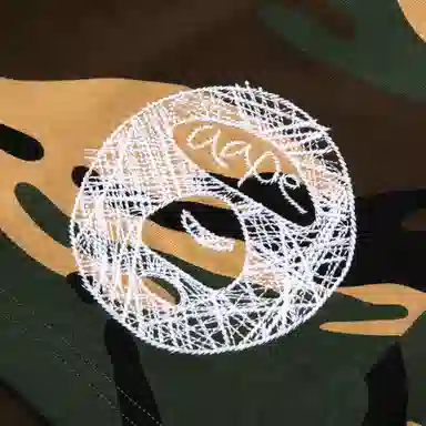 Aape