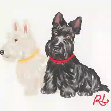 Polo Ralph Lauren FW24 LogoT