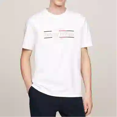 Tommy Hilfiger T