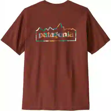 patagonia Unity Fitz Responsibili-Tee T