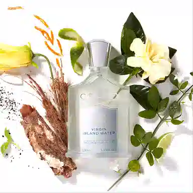 CREED Virgin Island Water