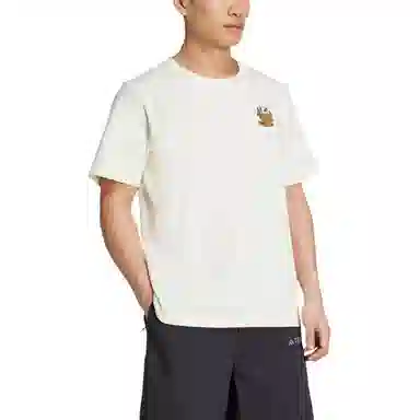 adidas Terrex POLYGIENE GRAPHIC T