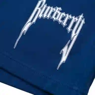 Burberry SS23 Blue Shorts