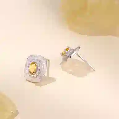 阿黛丽 轻奢大气 水晶 耳钉 女款