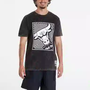 Mitchell Ness x NBA Chicago Bulls Destination Leisure Premium Graphic T