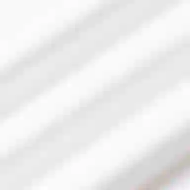 LOUIS VUITTON x CPFM