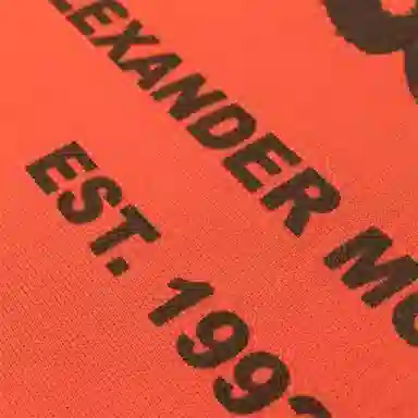 Alexander McQueen Logo