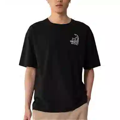 Converse Chuck Taylor SEASONAL T