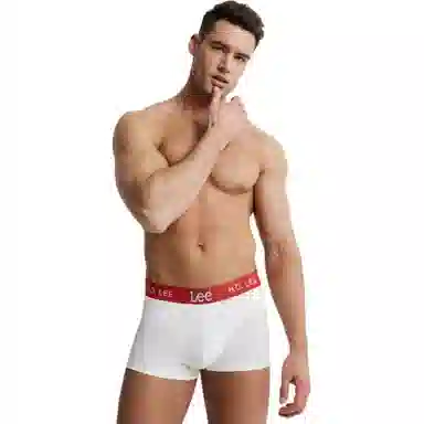 Lee 4