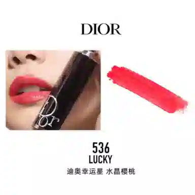 DIOR 008 Dior g