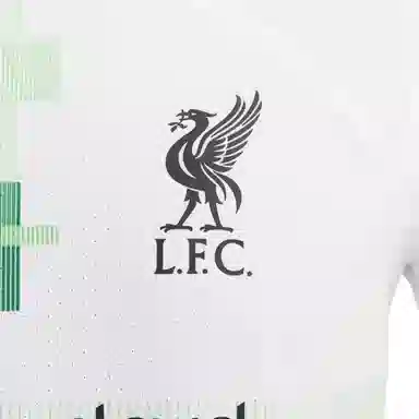 Nike Liverpool FC 202324 Match Away LogoT