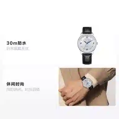 Sea-Gull E6003+E6003L