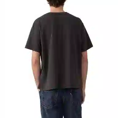 levis T