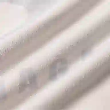 Balenciaga Qixi Hoodie FW25