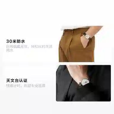 LONGINES 30 42mm L2.919.4.77.3