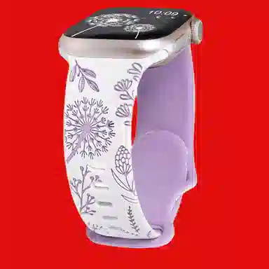 Antey apples9watchiwatch823456seultra