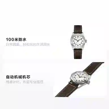 HAMILTON 100 41mm H70315510