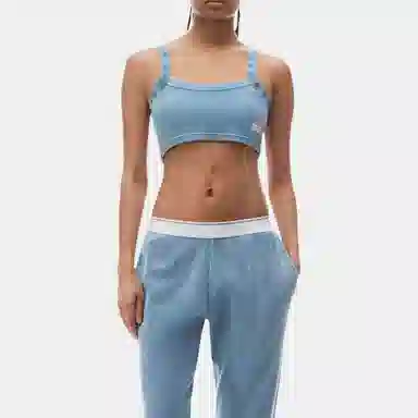 alexander wang Bodywear