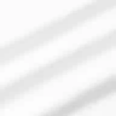 Polo Ralph Lauren SS25 T