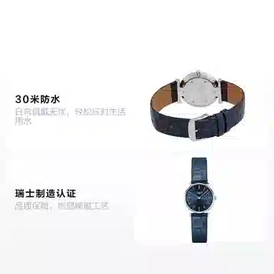 LONGINES 30 24mm L4.209.4.95.2