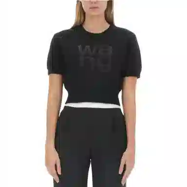 alexander wang T