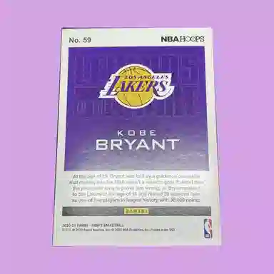 PANINI Hoops