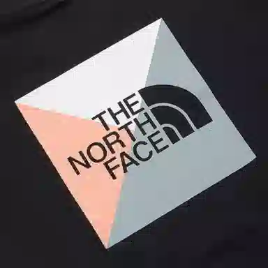 THE NORTH FACE Nse LogoT
