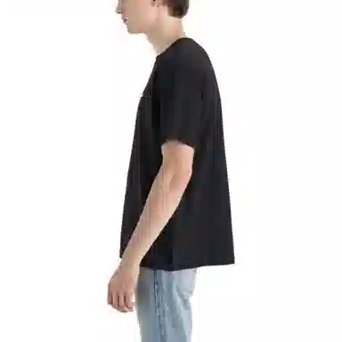 levis T