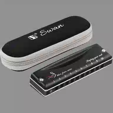 (Swan) 10Blues Paddy