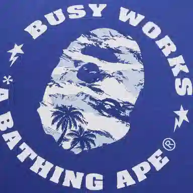 A BATHING APE SS25 T