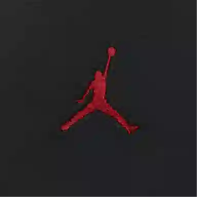 Jordan AS M J BRKLN FLC PO GEL J DAY