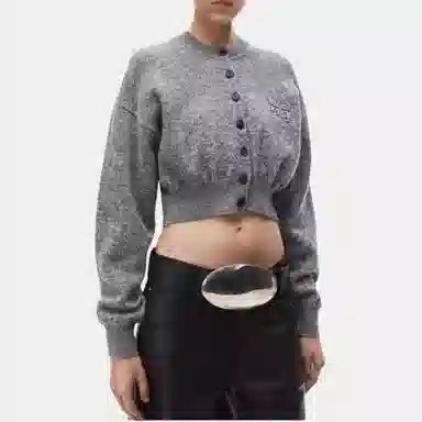 alexander wang FW24 logo